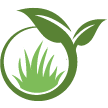 Philadelphia Lawn Clean Up