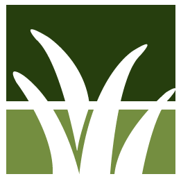 Philadelphia Lawn Clean Up