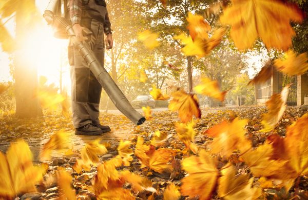 Cost of Leaf Blowing Service in Philadelphia