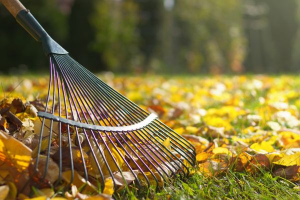 Cost of Leaf Raking Service in Philadelphia