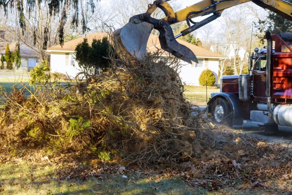 Cost of Storm Debris Removal in Philadelphia