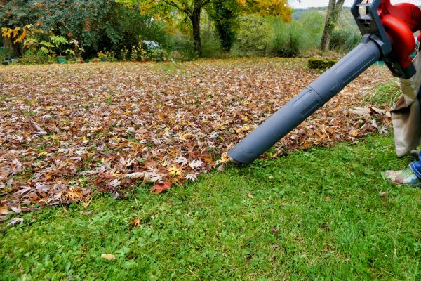 Cost of Leaves Vacuuming in Philadelphia