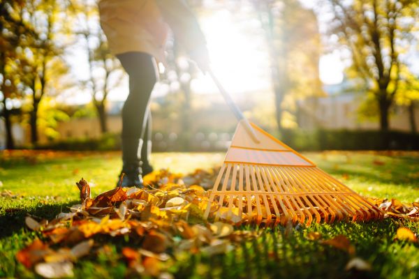 Cost of Leaves Raking in Philadelphia