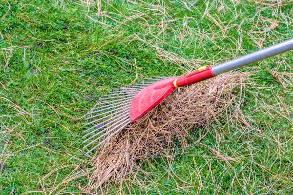 Cost of Yard Raking in Philadelphia