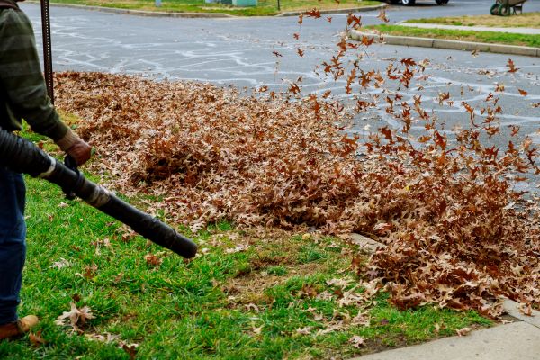 Cost of Garden Leaf Removal in Philadelphia