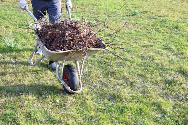 Cost of Yard Brush Removal in Philadelphia