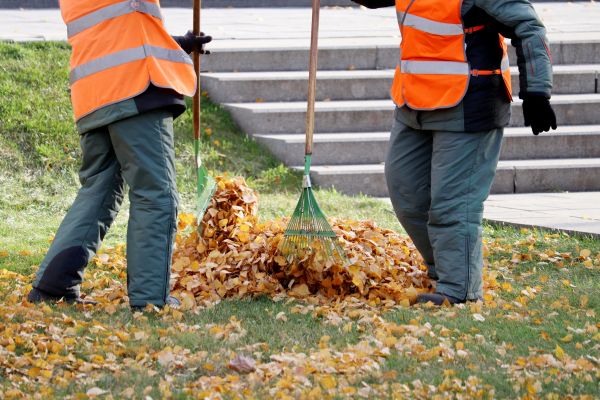 Cost of Leaf Hauling Service in Philadelphia