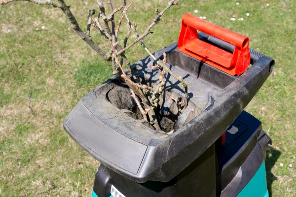 Cost of Brush Cleanup Service in Philadelphia
