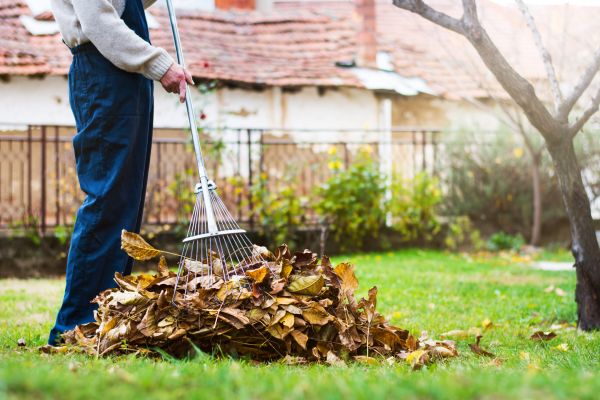 Cost of Fall Yard Cleanup Service in Philadelphia