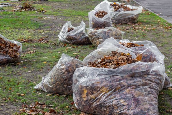 Cost of Leaf Pile Disposal in Philadelphia