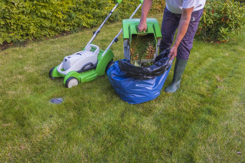 Fall Lawn Cleanup Service detail